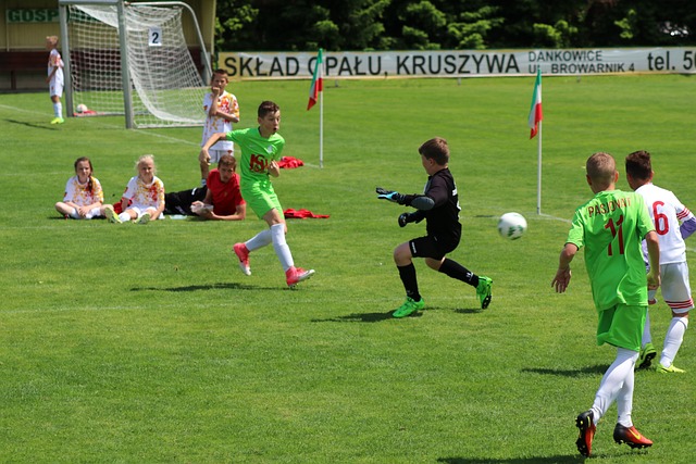 应该被视为 应该被视为