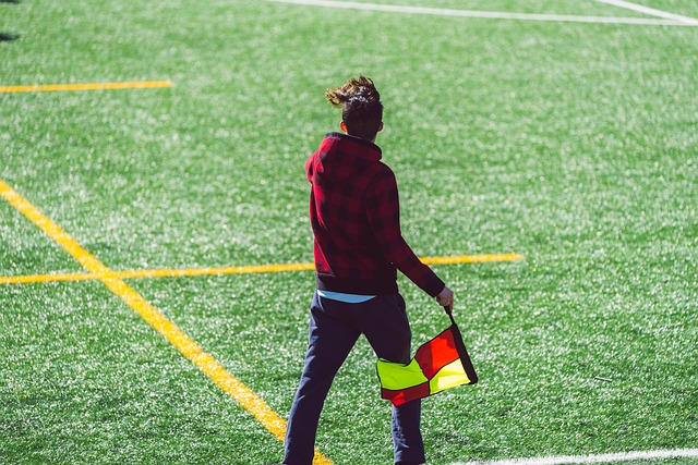 危险并存的 危险并存的