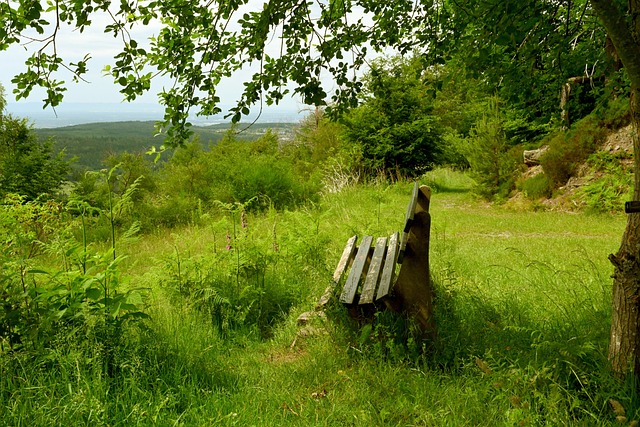 提供灵活的 提供灵活的