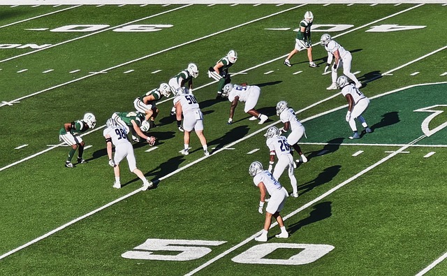 球员以维护 球员以维护