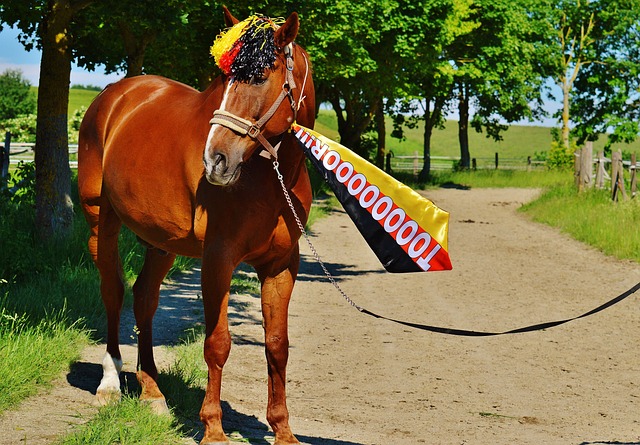 场的首选尚 场的首选尚