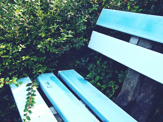 林诗栋的失 林诗栋的失